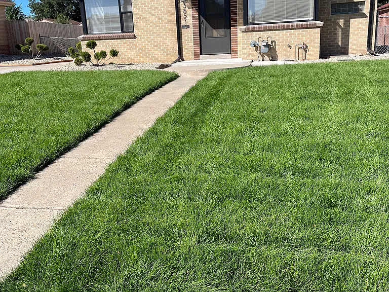 3021 Wilson Ct — Photo 10