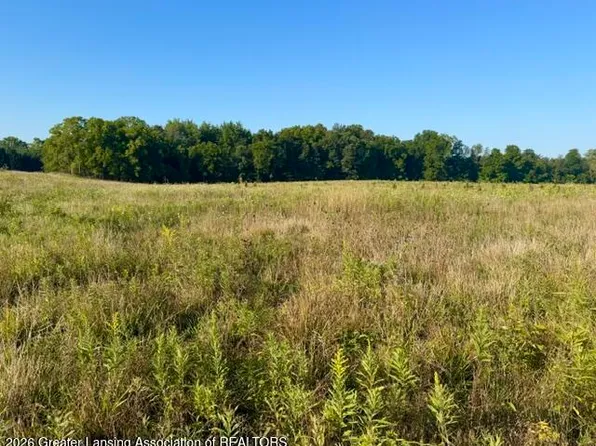 12280 S Wacousta Rd, Eagle, MI 48822