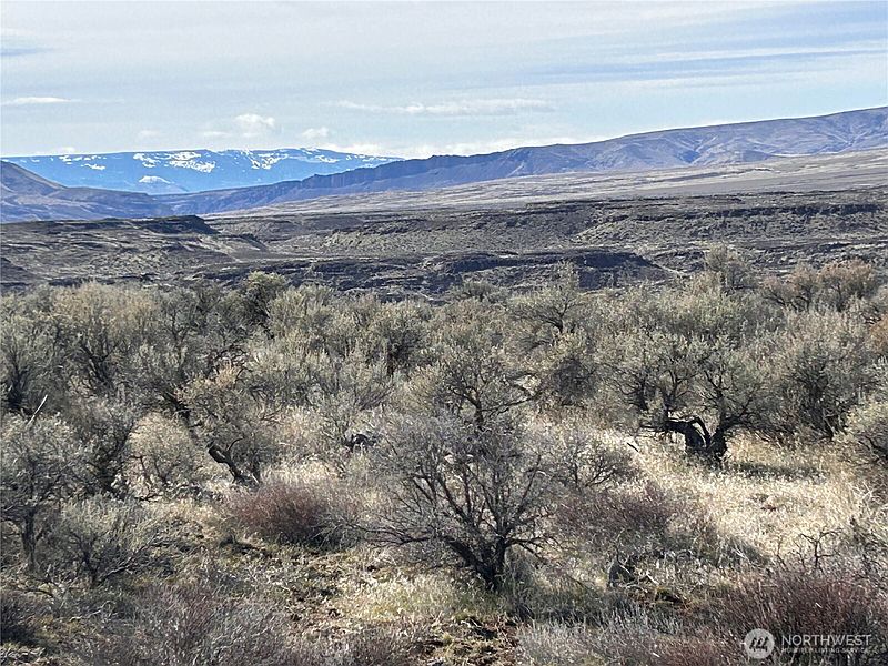 3rd image of 9634 Tumbleweed Way