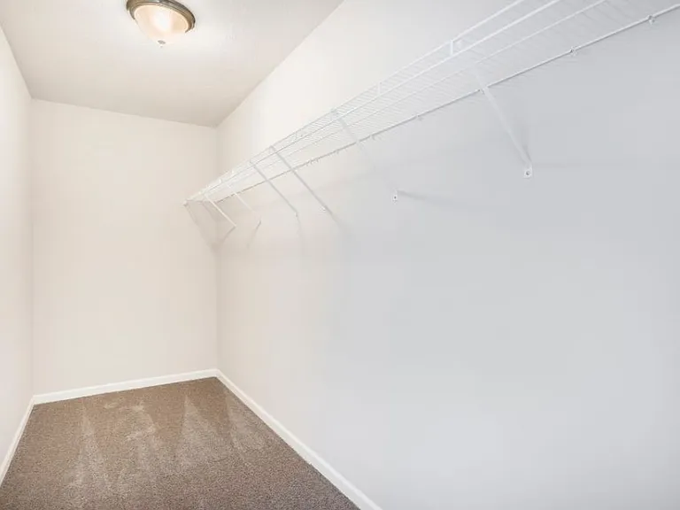 10069 Whitetail Ln — Photo 24