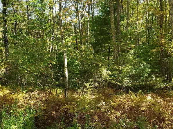 Krum Road Tr 77, Fallsburg, NY 12733