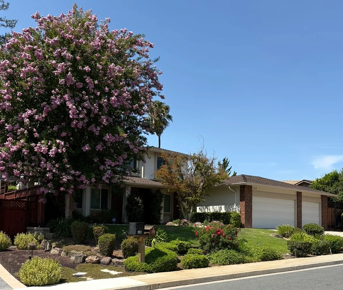 1819 Yolanda Circle — Photo 3