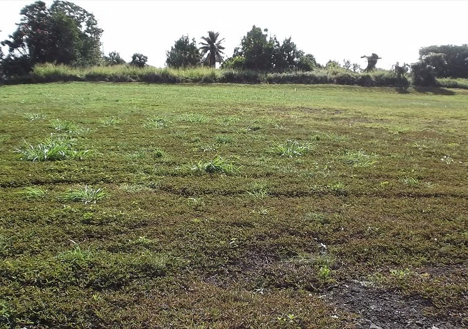 1st image of Kehaulani St Lot 2-B-1
