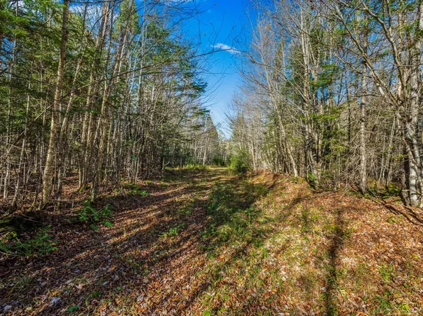 986 Summerhill Road, Walden, VT 05843