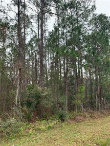 N Prevatt, Deland, FL, 32724