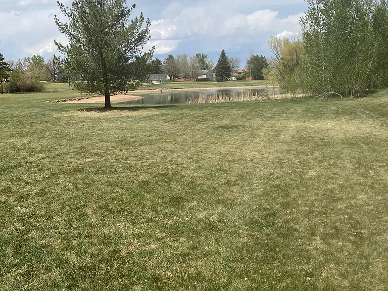 4225 Hummingbird Dr — Photo 19