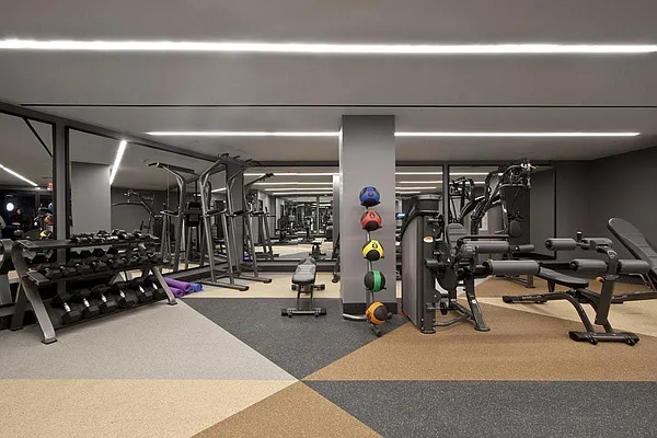 Rented by Bold Marketing | media 5