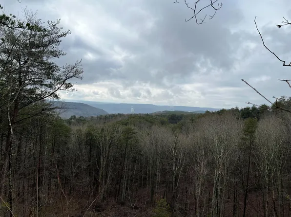1312 S Crow Nest Dr, Guild, TN 37340