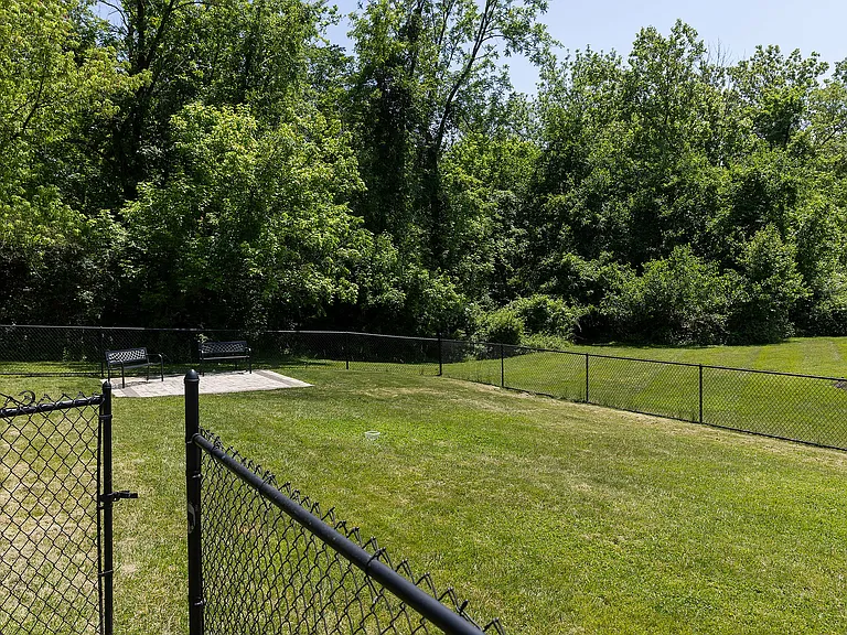 Fenced In Bark Park