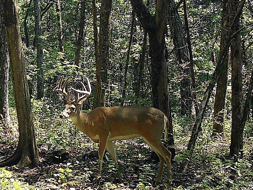 1st image of 0 Turney Rd