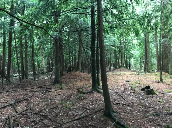 Old State Rd, Johannesburg, MI 49751