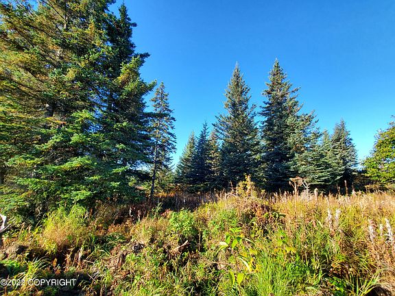 2nd image of 67572 Shavila Rd