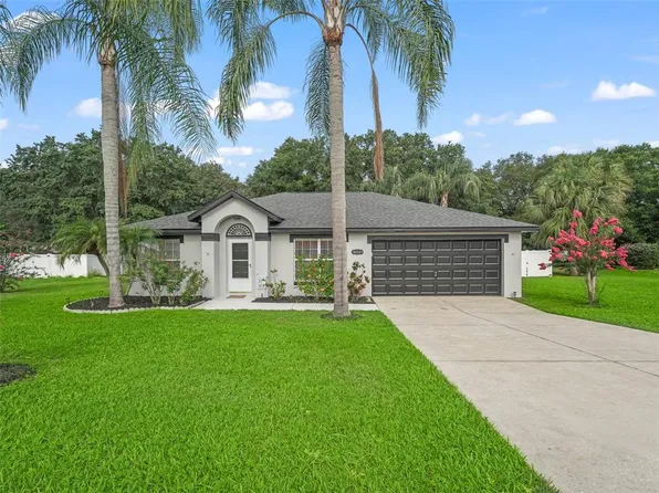 36947 Slice Ln, Grand Island, FL 32735