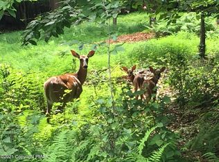 LOT B186 Hopi Rd, Albrightsville, PA 18210