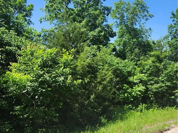 142 & 146 Oak Crest Dr, Lacygne, KS 66040