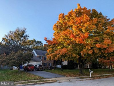 3898 White Rose Way, Ellicott City, MD, 21042