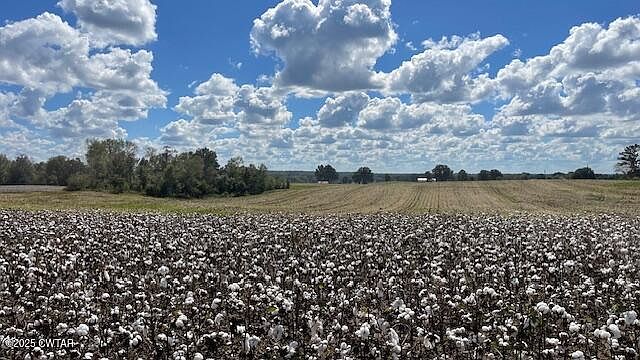 1st image of 0 Christmasville Rd