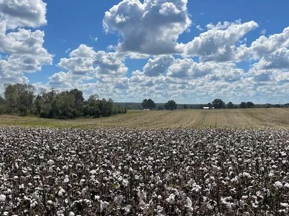 0 Christmasville Rd, Medina, TN 38355