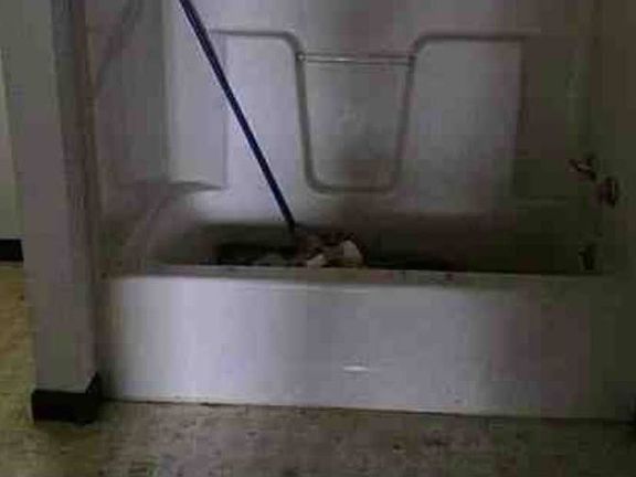 4th image of 2402 Lincoln Ave