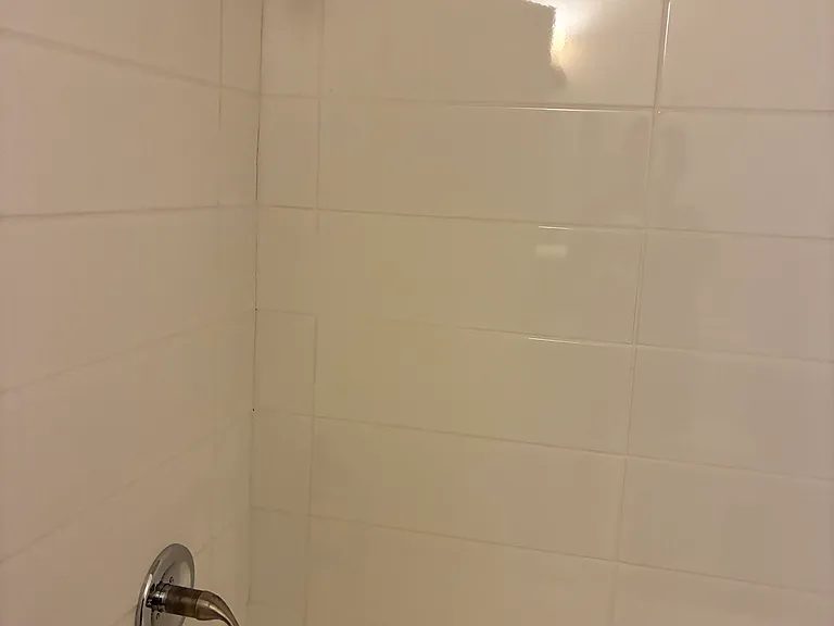 409 Halsey St #2 — Photo 7