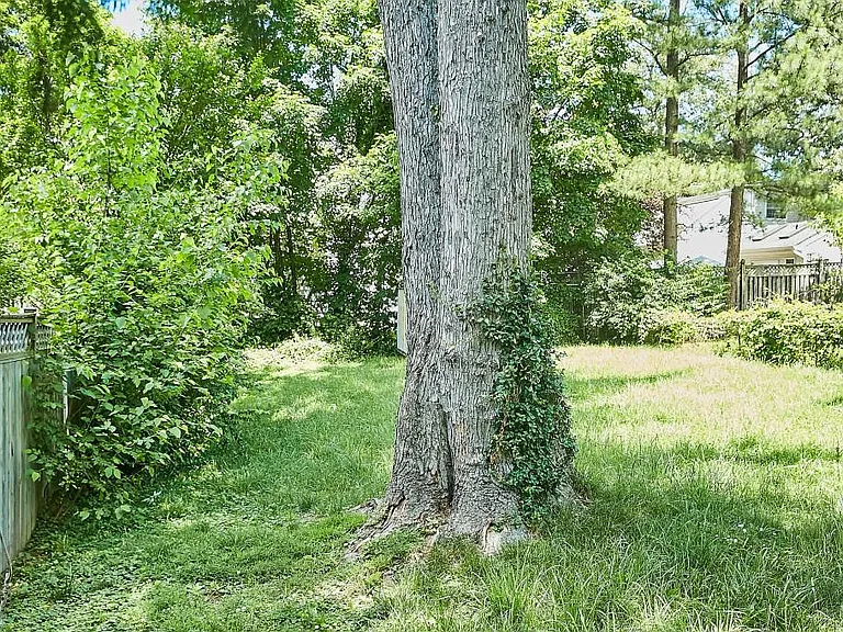 Large fenced backyard