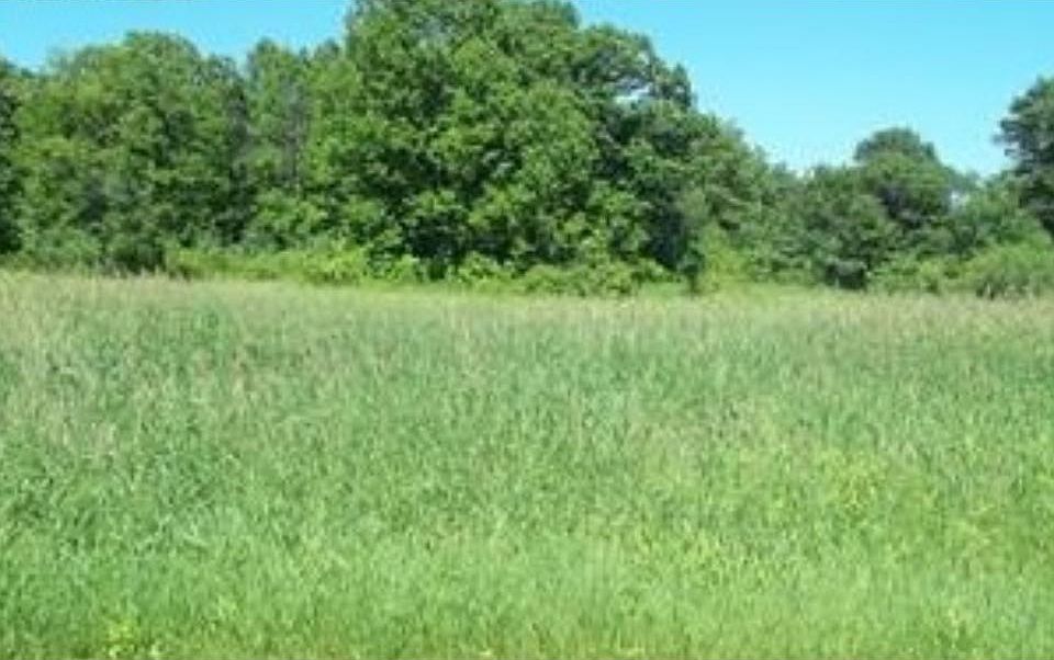 1st image of Xxx 214th Avenue Nw Big Lake Twp