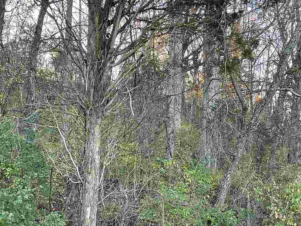 2nd image of LOT 6/a Valley