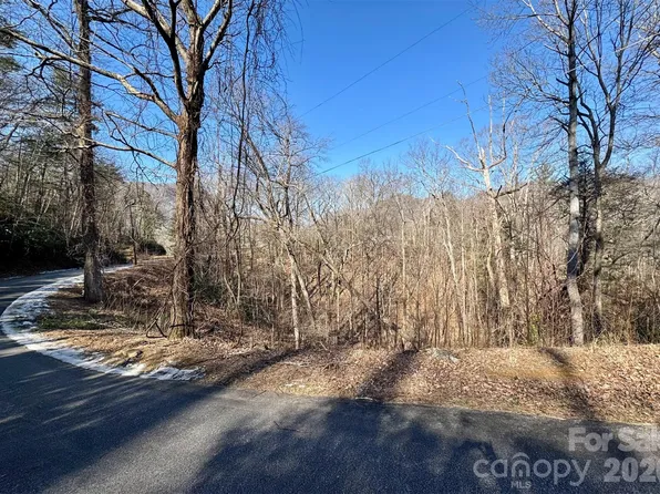 42 Asa Gray Dr, Lake Lure, NC 28746