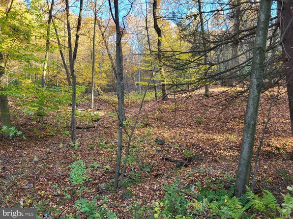 1657 Ninemile Run Ln, Burnt Cabins, PA 17215