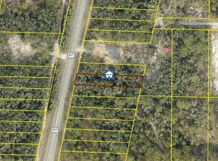 LOT 28 Treiman Blvd, Webster, FL 33597