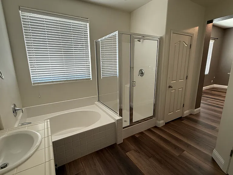 Master Bathroom shower and tub.