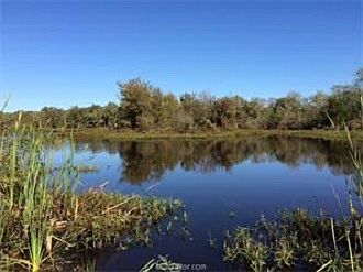 Community Fishing Pond
