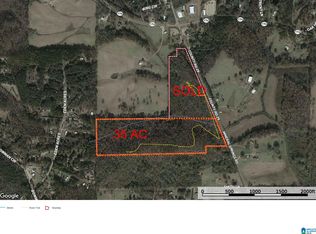 3047 Mineral Springs Rd #35.48, Pell City, AL 35125