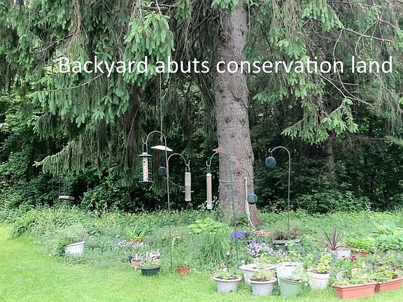Backyard abuts conservation land