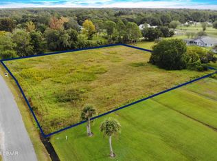140 W Country Circle Dr, Pt Orange, FL 32128