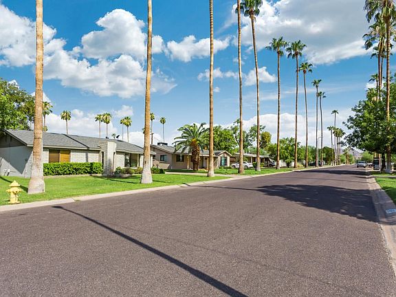 Palm Lined street