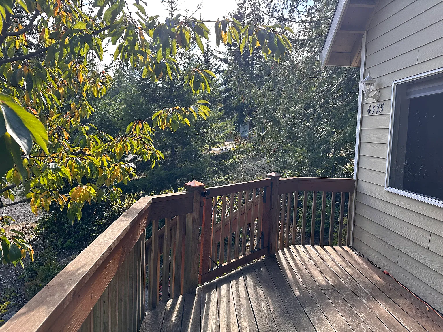 4375 Gise St — Photo 2