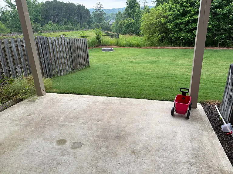 Backyard
