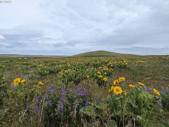 5th image of 905 Randall Rd Lot 1