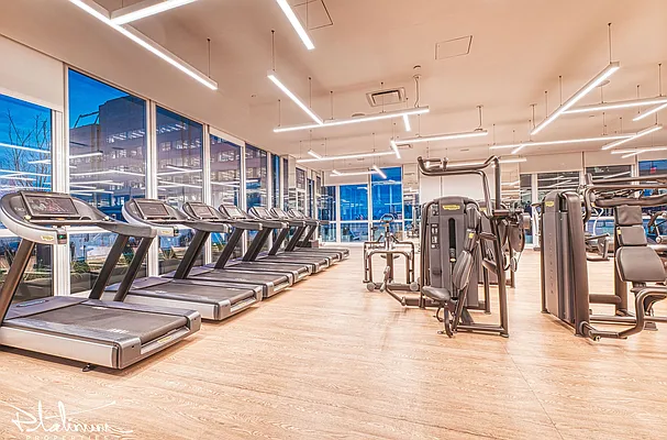 Rented by Platinum Properties | media 14