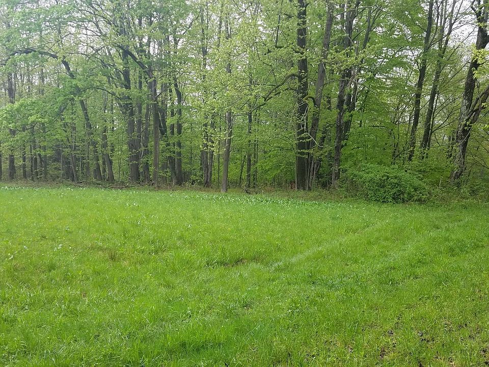 1st image of 289 Cochecton Tpke