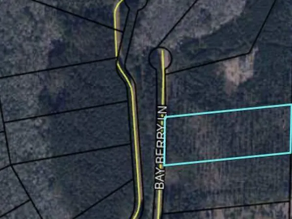 Bay Berry Ln, Westville, FL 32464