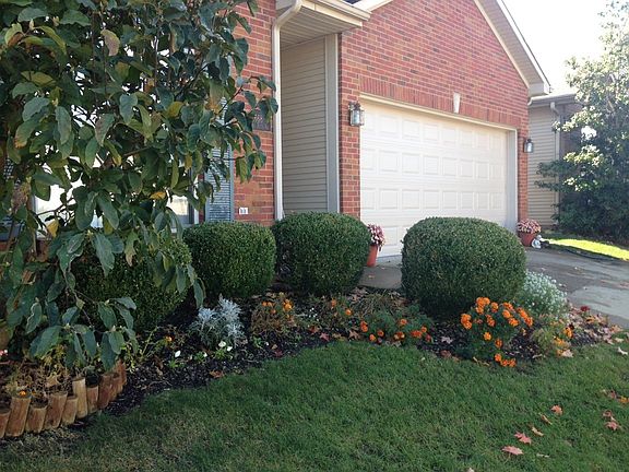 Landscaping in front of house