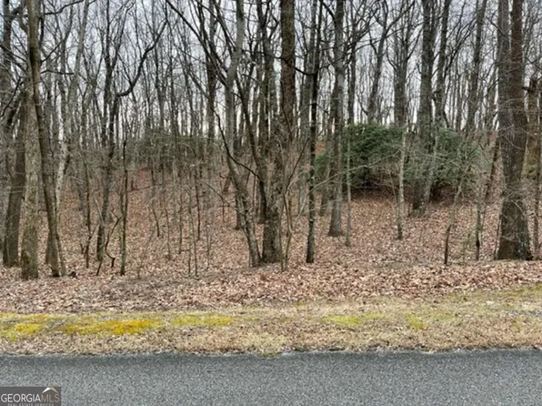 184 Saint Andrews Way, Ellijay, GA 30536