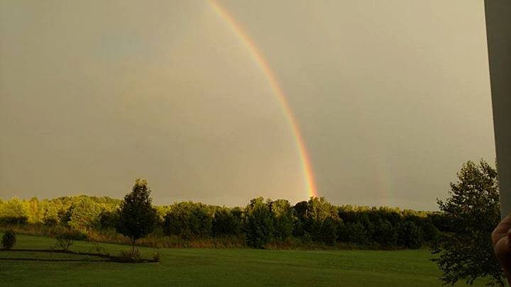 Back Yard View2