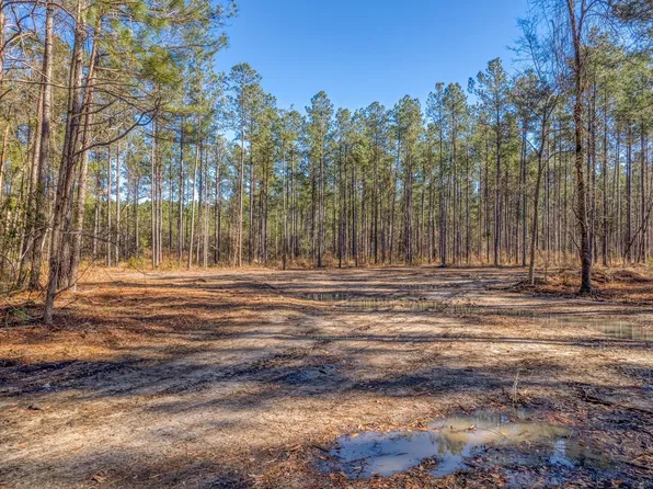 1118 Dehayville Dr, Pinopolis, SC 29469