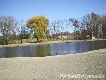 looking north from back of pond : pond is spring fed