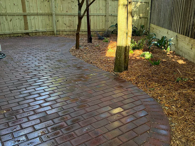 The back patio is cool and shady.