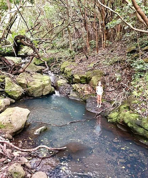 Hike in the back of our valley - drive 30 seconds or jog 10 minutes and you are at the trail head. Take a dip in the refreshing stream pools after a big rain.