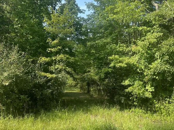 4919 106th Ave, Grand Junction, MI 49056